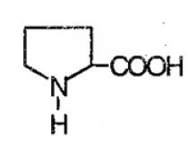 Аминокислоты по химии. Шпаргалка: Аминокислоты. Химические свойства аминокислот