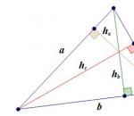 Какие бывают прямоугольные треугольники