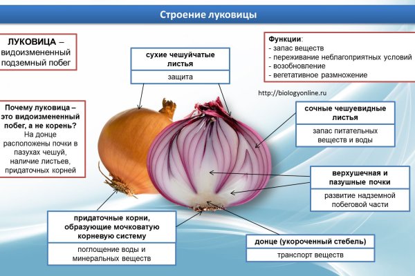 Как зайти в кракен через айфон