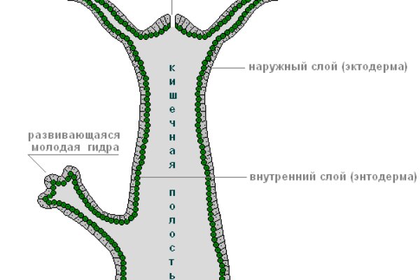 Кракен сайт юнион