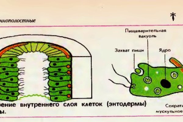 Актуальные ссылки кракен 2025