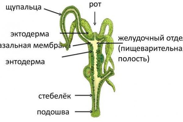 Кракен безопасный вход